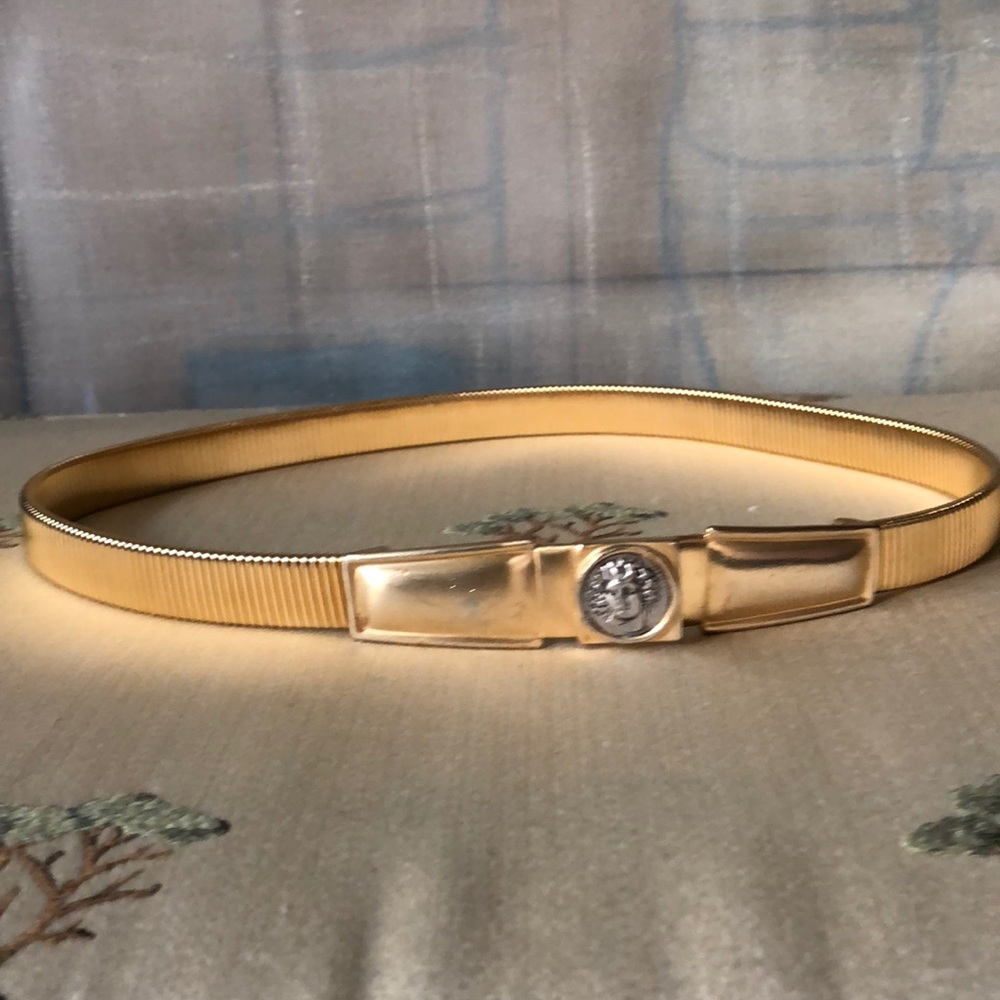 Accesocraft Gold Tone Elastic Belt